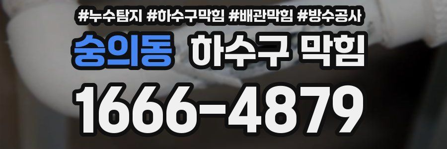 숭의동 하수구 막힘