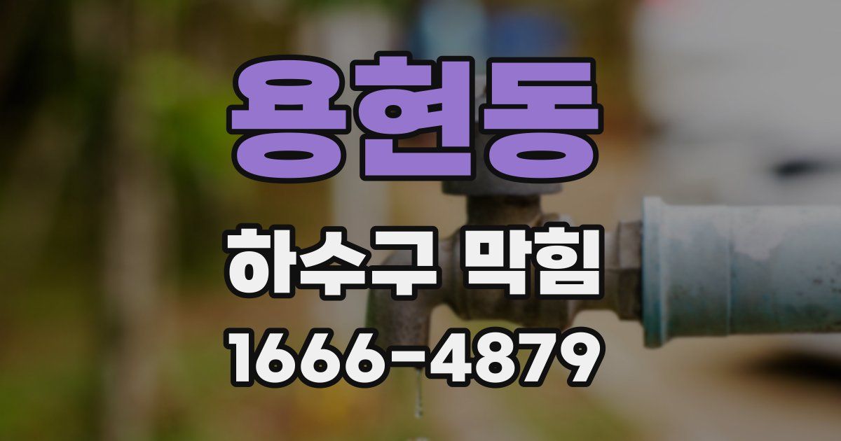 용현동 하수구 막힘