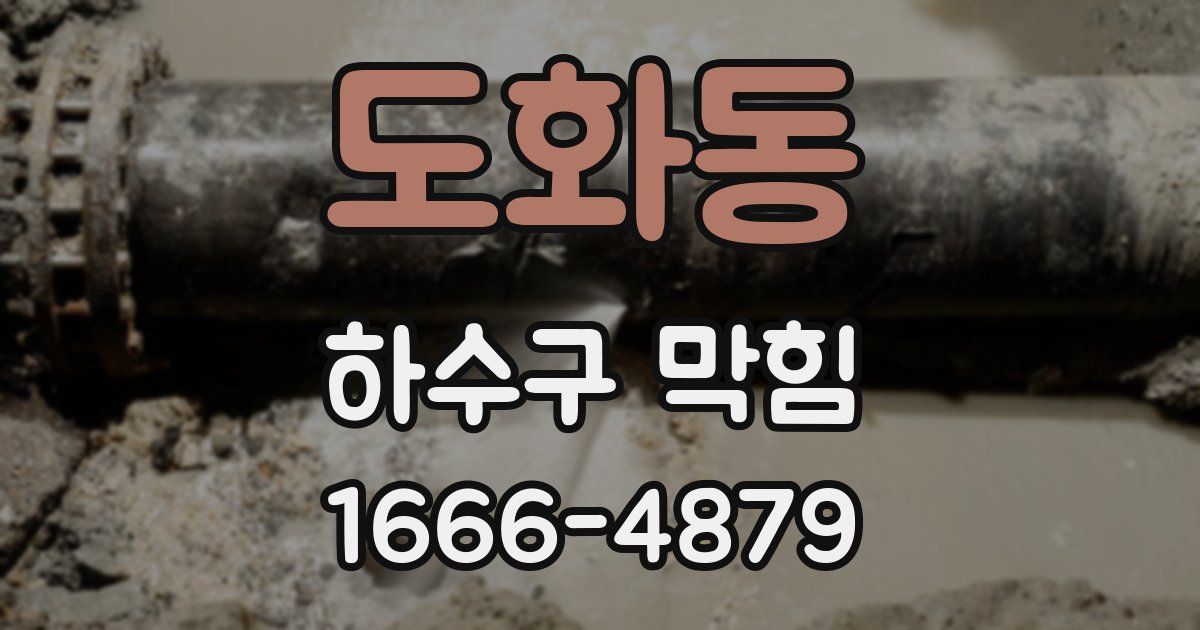 도화동 하수구 막힘