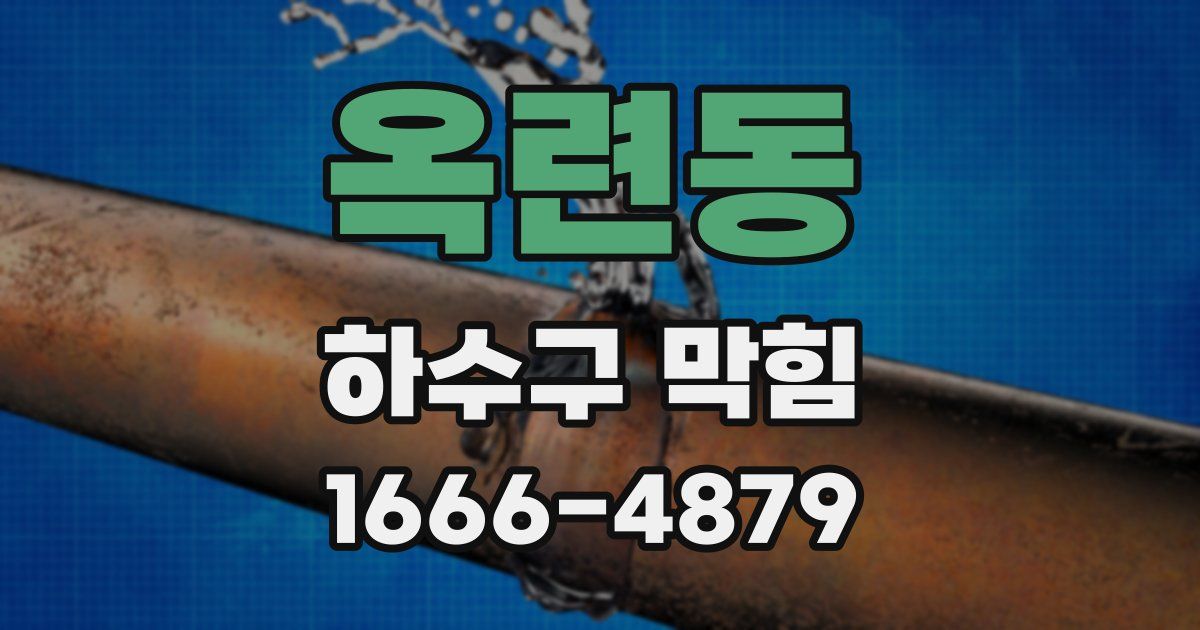 옥련동 하수구 막힘