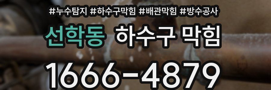 선학동 하수구 막힘