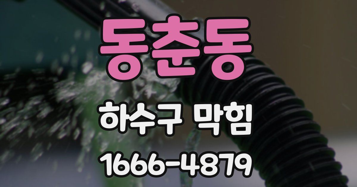동춘동 하수구 막힘