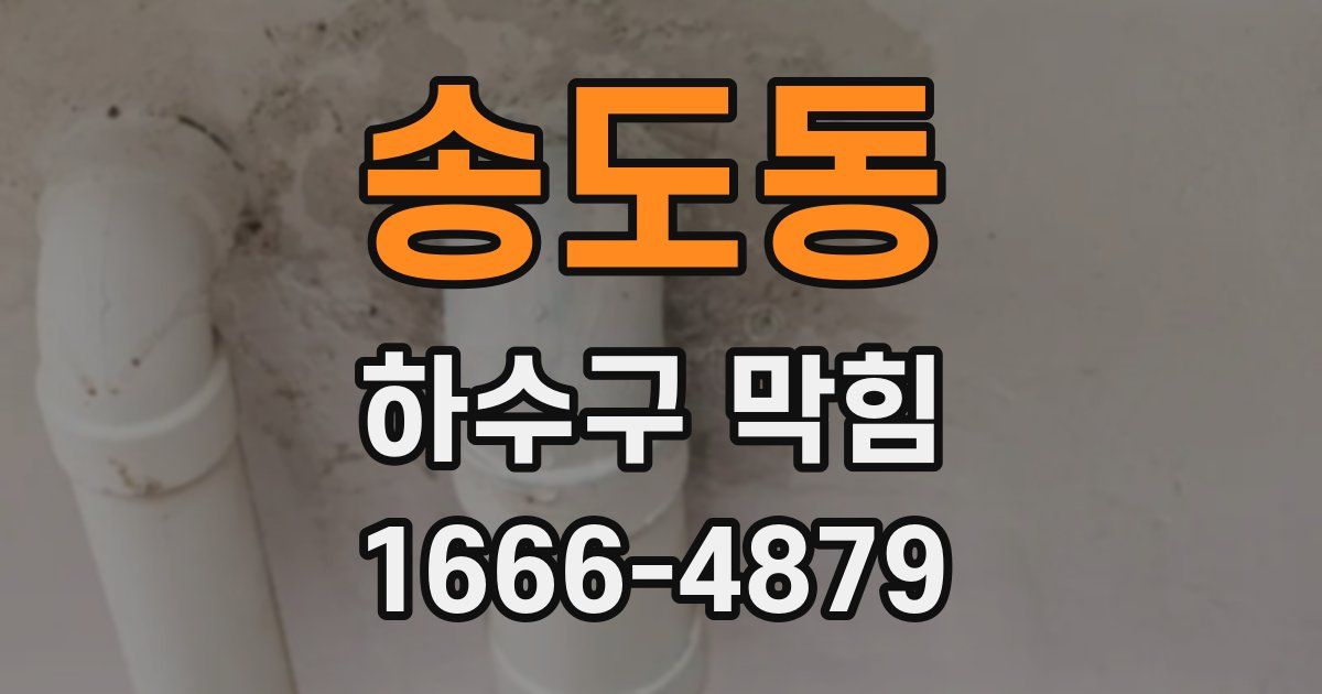 송도동 하수구 막힘