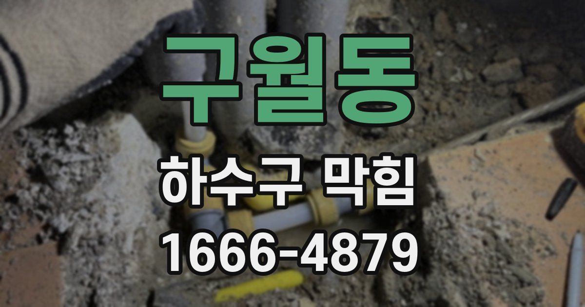 구월동 하수구 막힘