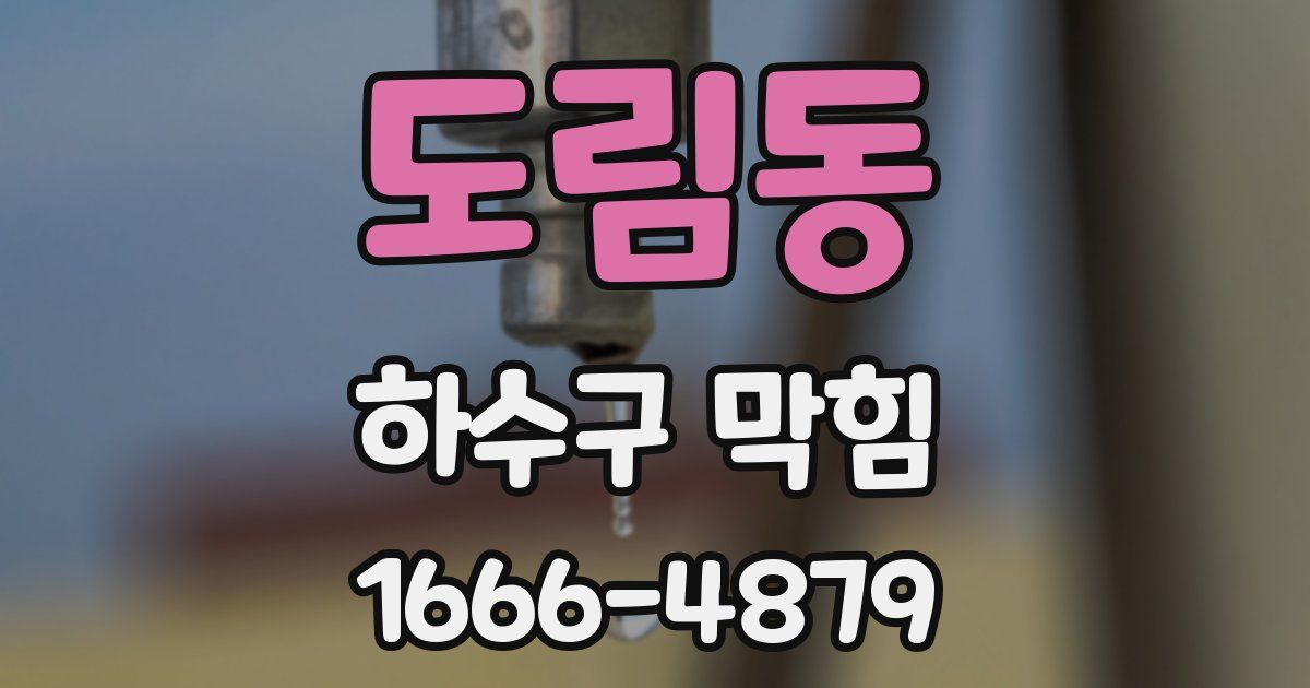 도림동 하수구 막힘
