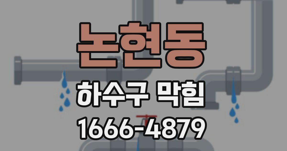 논현동 하수구 막힘