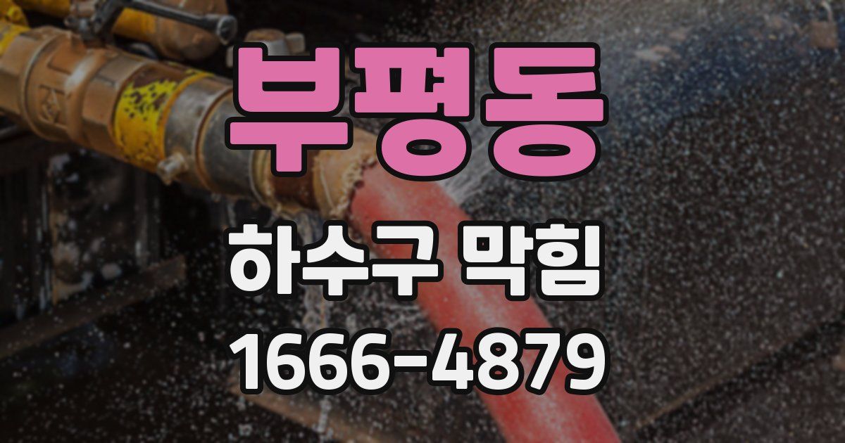 부평동 하수구 막힘