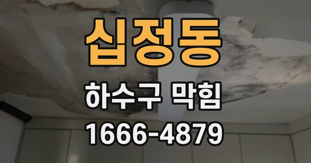 십정동 하수구 막힘