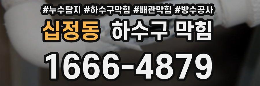 십정동 하수구 막힘