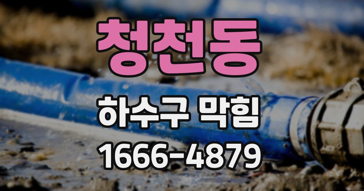 청천동 하수구 막힘