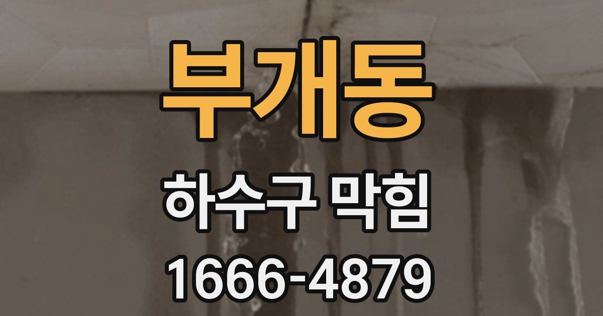 부개동 하수구 막힘