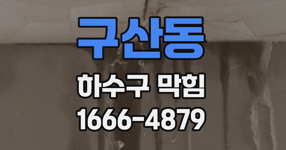 구산동 하수구 막힘