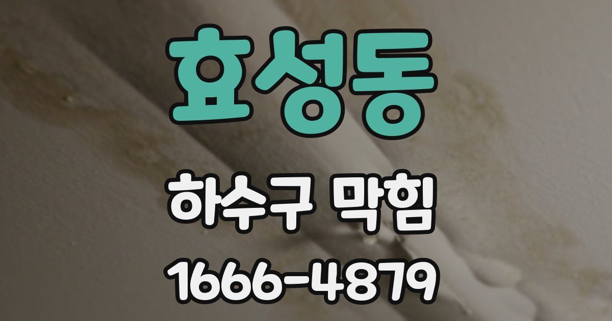 효성동 하수구 막힘
