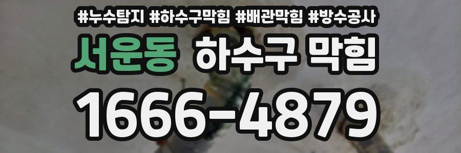 서운동 하수구 막힘