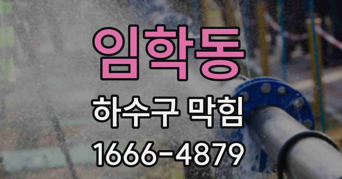 임학동 하수구 막힘