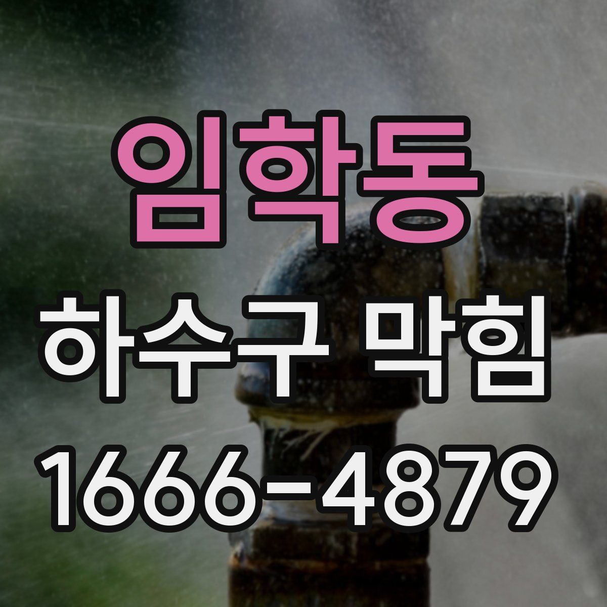 임학동 하수구 막힘