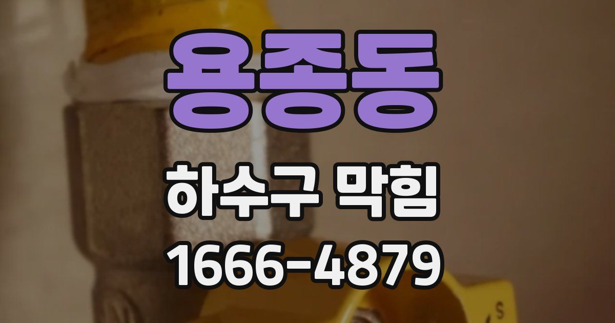 용종동 하수구 막힘
