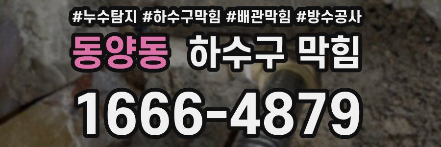 동양동 하수구 막힘