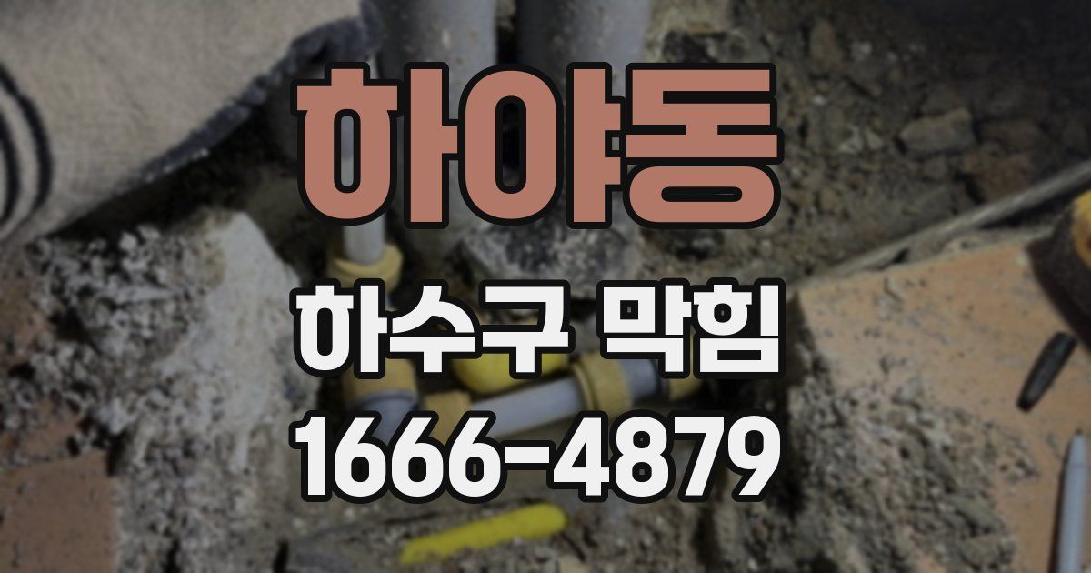 하야동 하수구 막힘