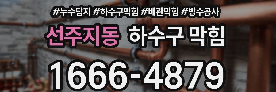 선주지동 하수구 막힘