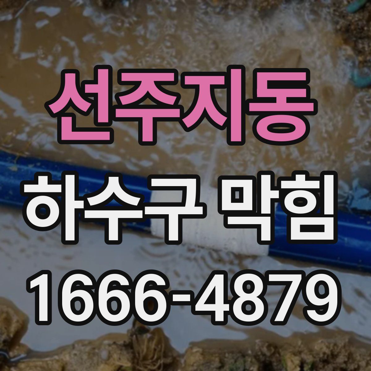 선주지동 하수구 막힘