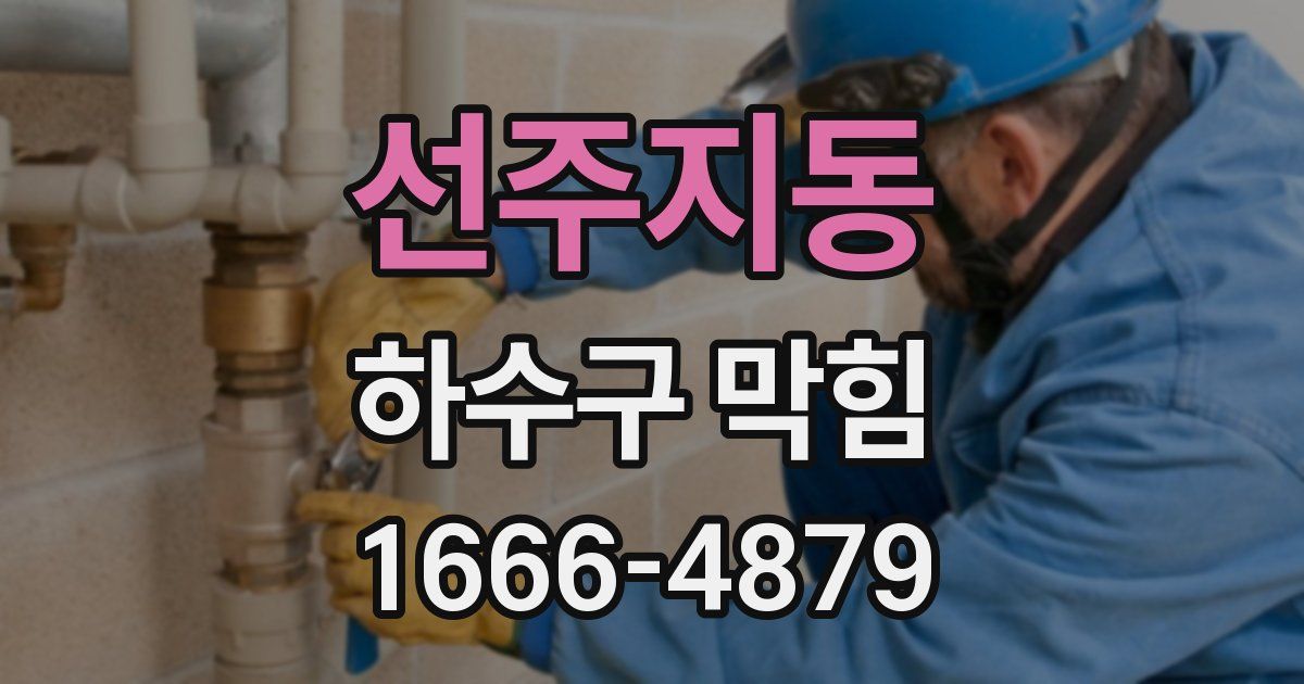 선주지동 하수구 막힘