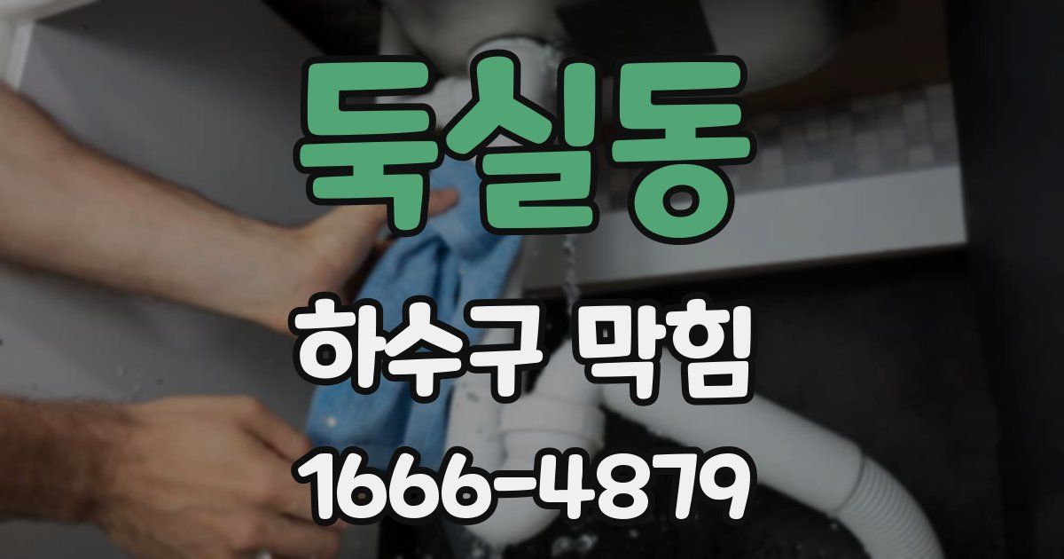 둑실동 하수구 막힘