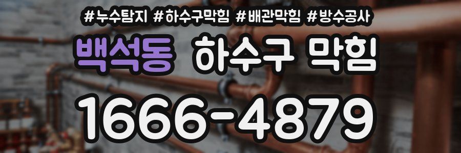 백석동 하수구 막힘