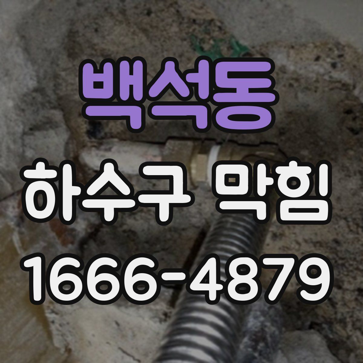 백석동 하수구 막힘