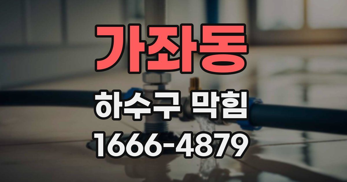 가좌동 하수구 막힘