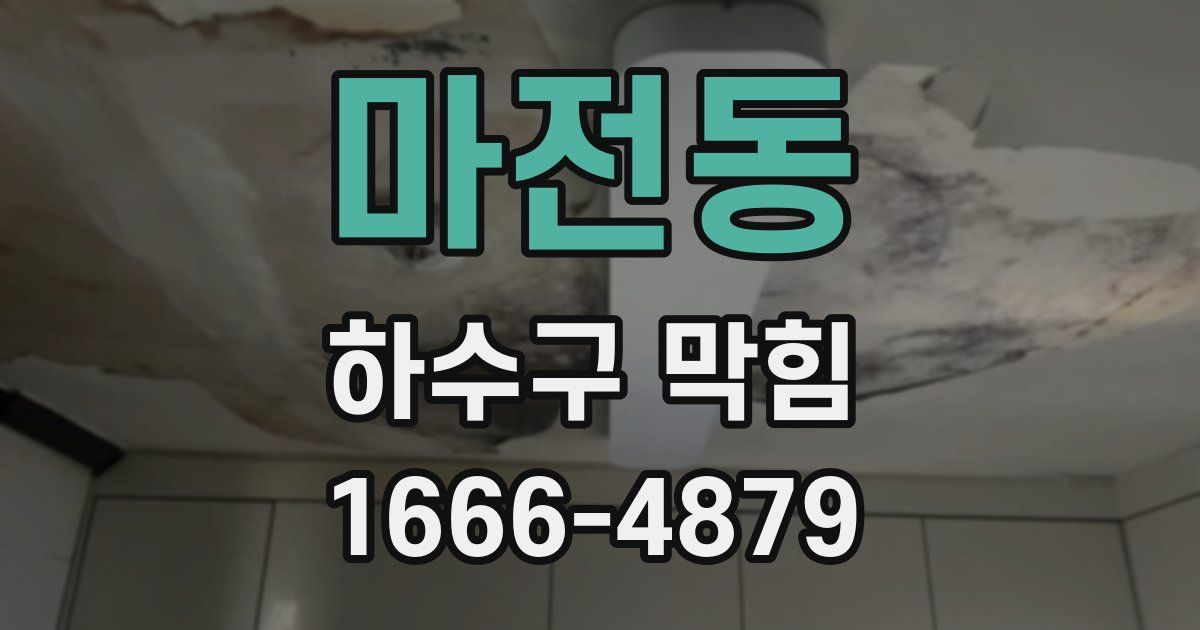 마전동 하수구 막힘