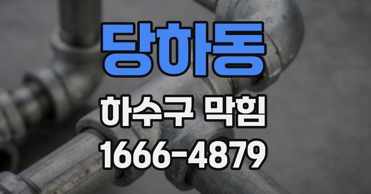 당하동 하수구 막힘