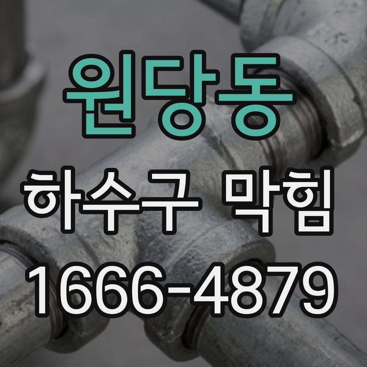 원당동 하수구 막힘