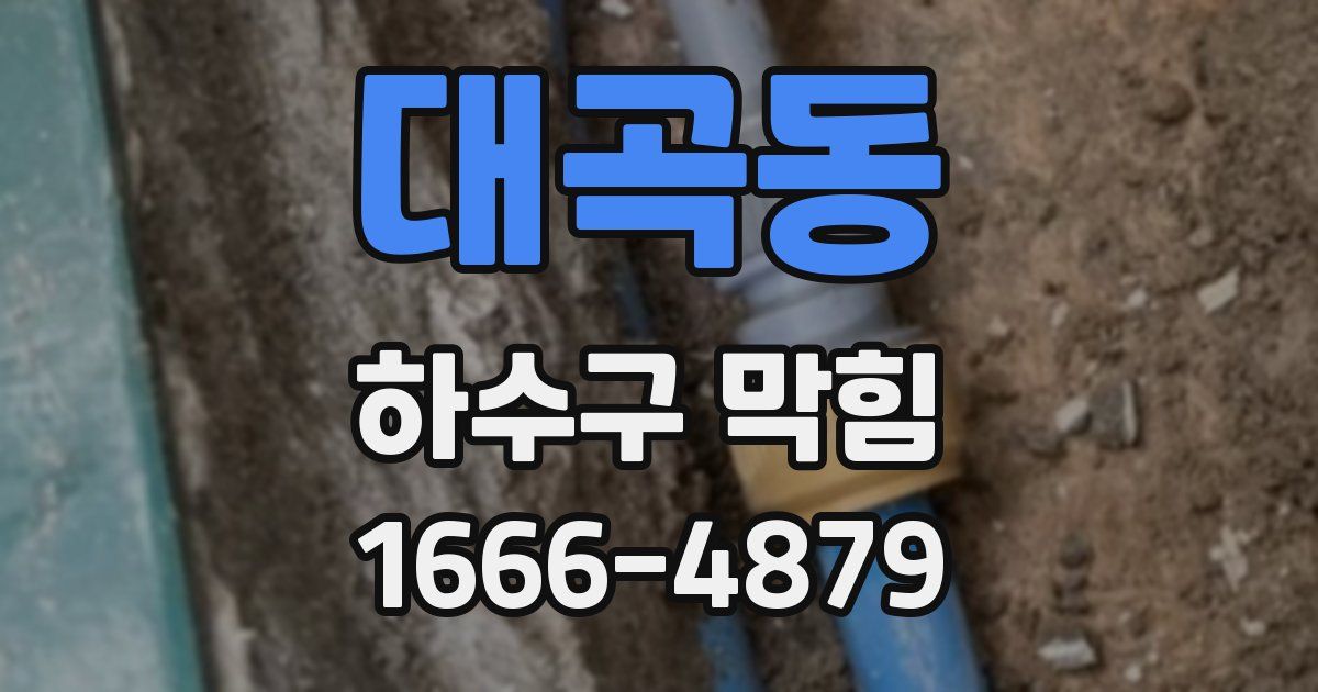 대곡동 하수구 막힘