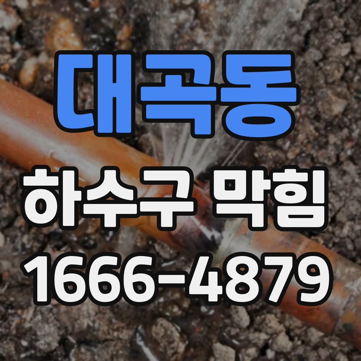 대곡동 하수구 막힘