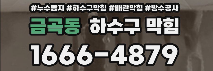 금곡동 하수구 막힘