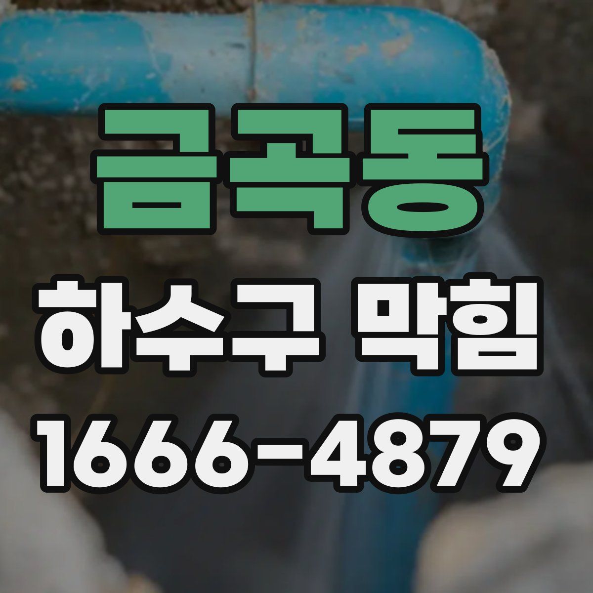 금곡동 하수구 막힘