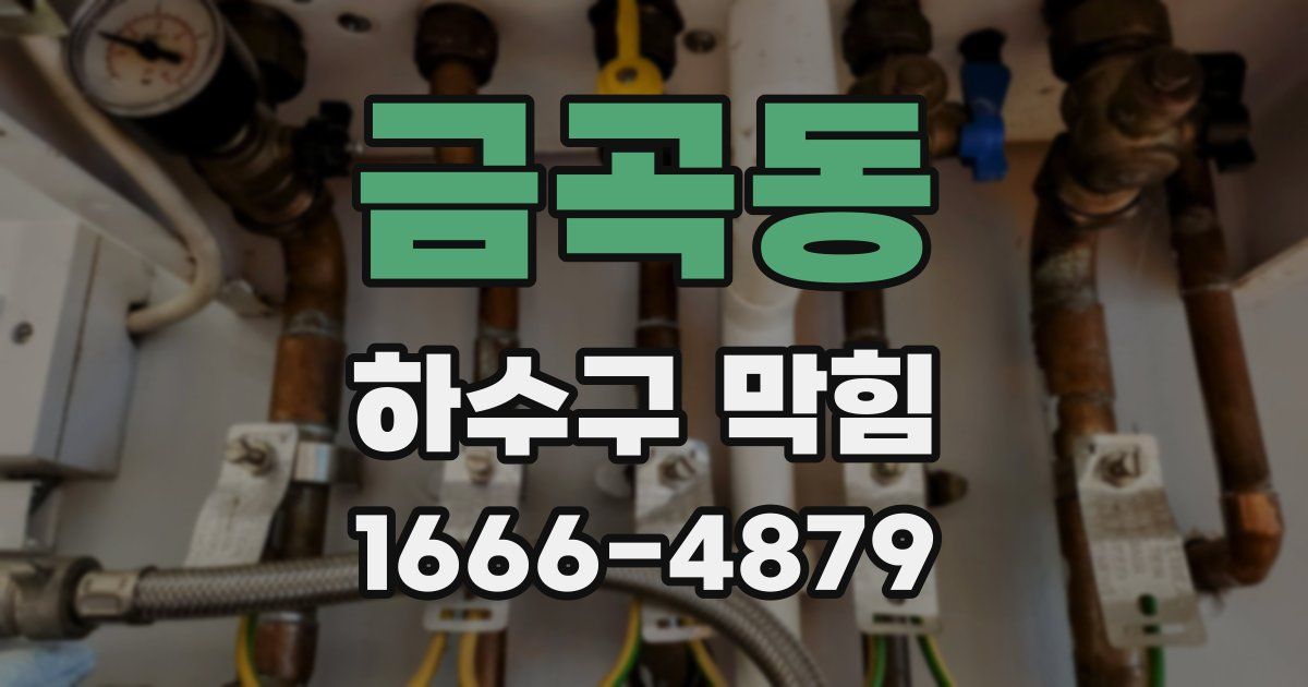 금곡동 하수구 막힘
