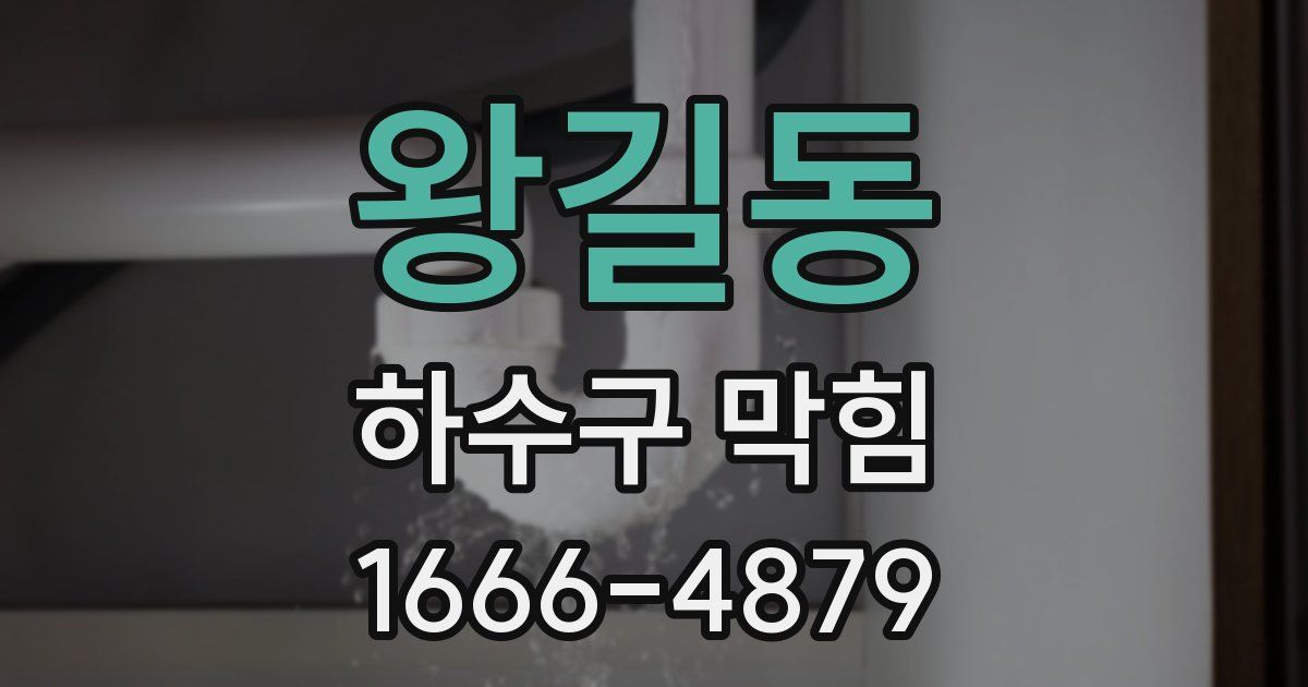 왕길동 하수구 막힘