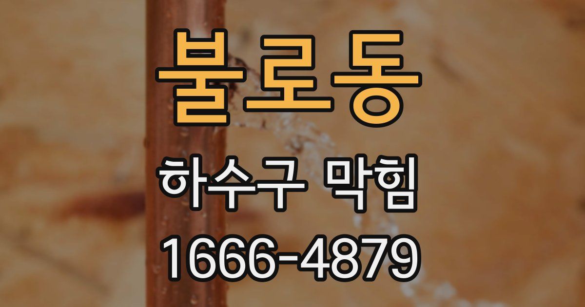 불로동 하수구 막힘