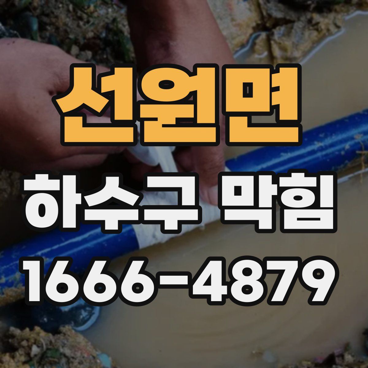 선원면 하수구 막힘