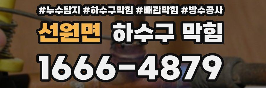 선원면 하수구 막힘