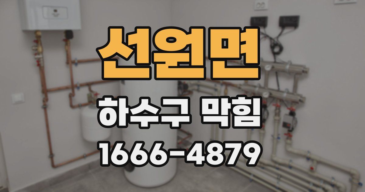 선원면 하수구 막힘