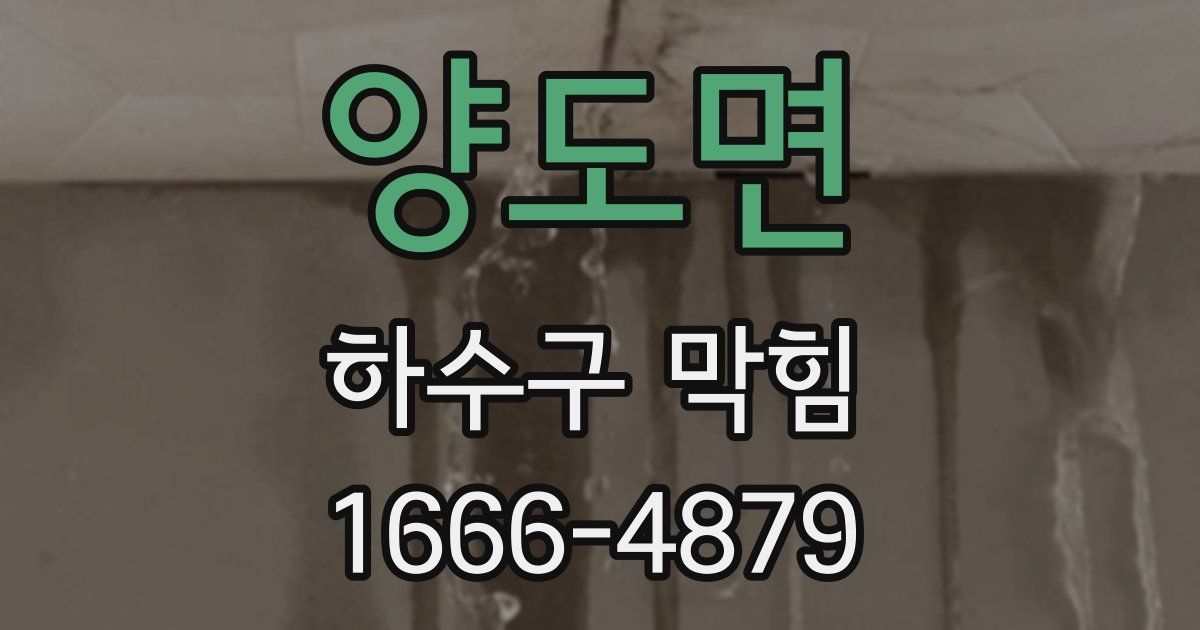 양도면 하수구 막힘