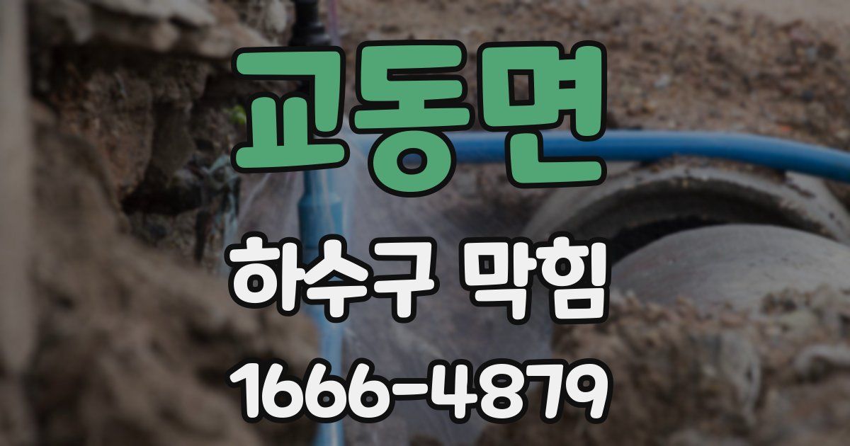 교동면 하수구 막힘