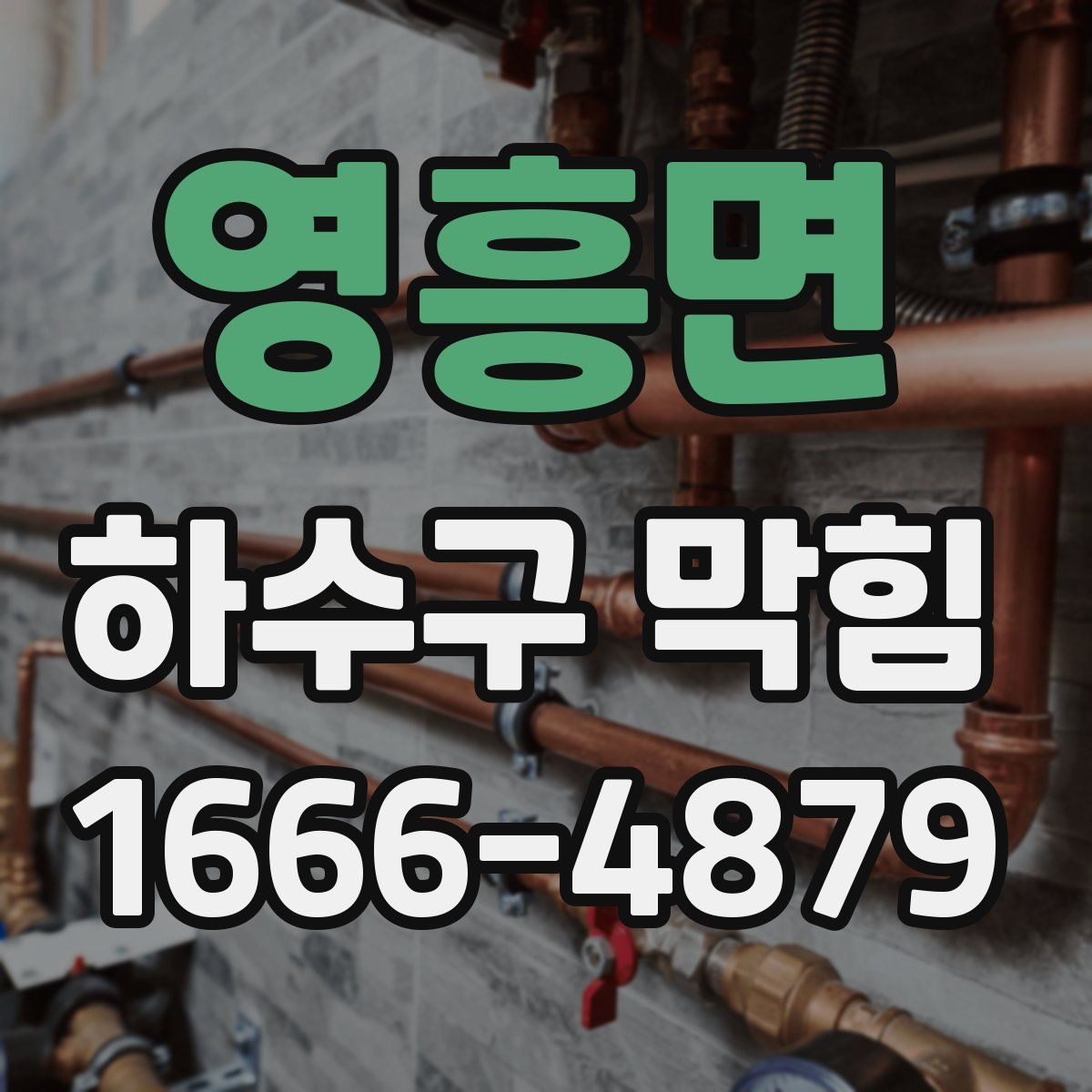 영흥면 하수구 막힘