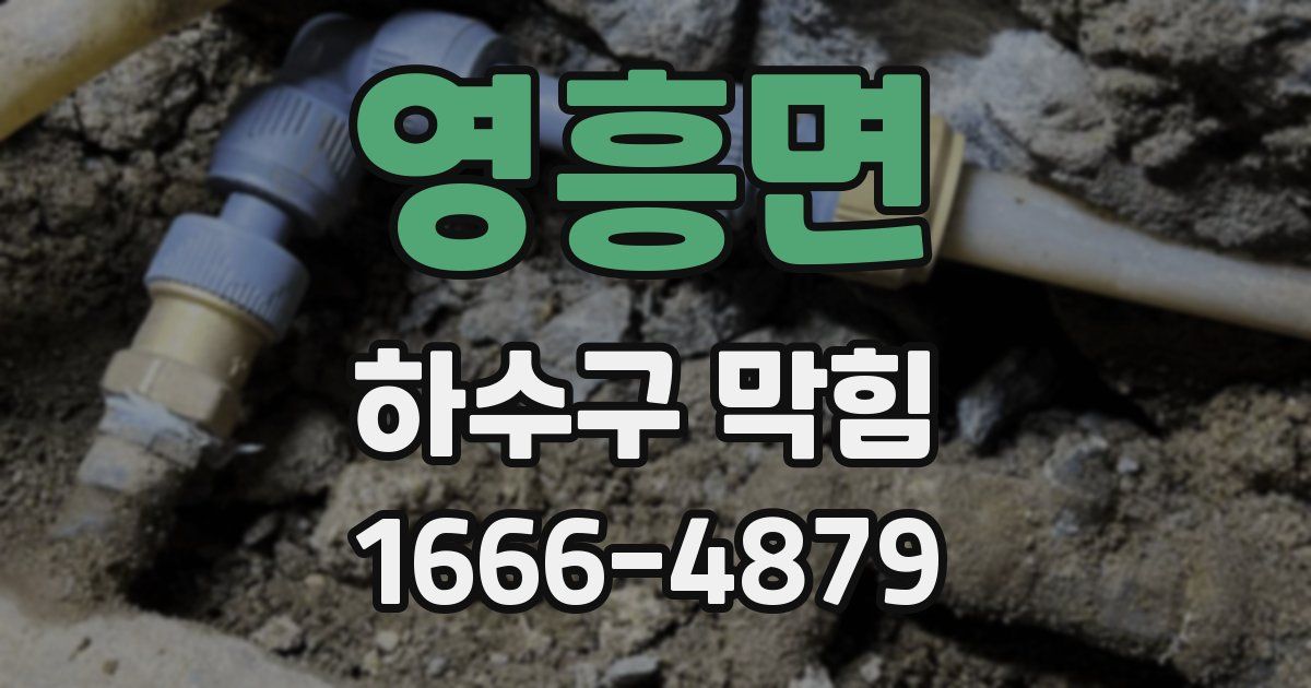 영흥면 하수구 막힘