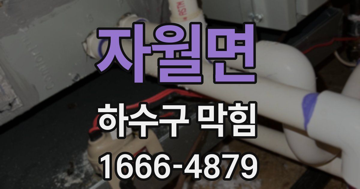 자월면 하수구 막힘