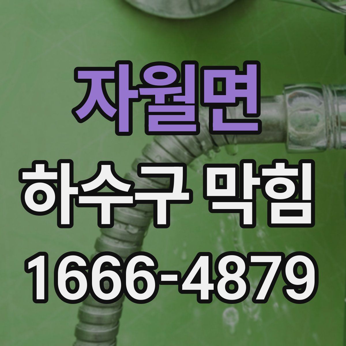 자월면 하수구 막힘
