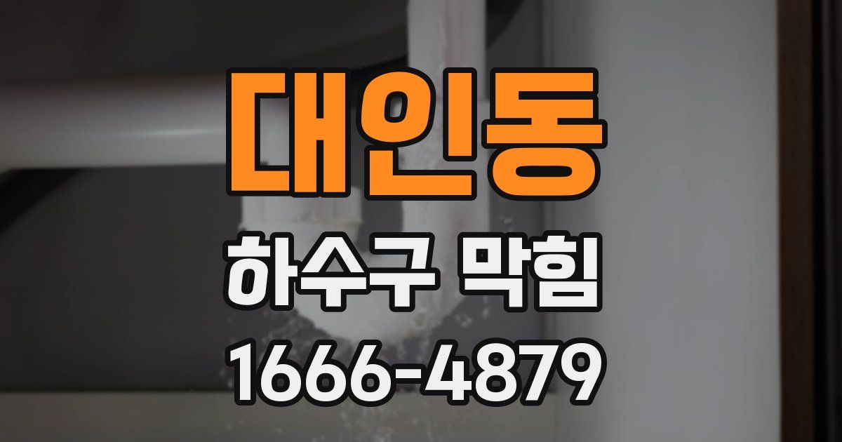 대인동 하수구 막힘